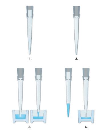 is it okay to remove pipette|pipette tip after dispensing.